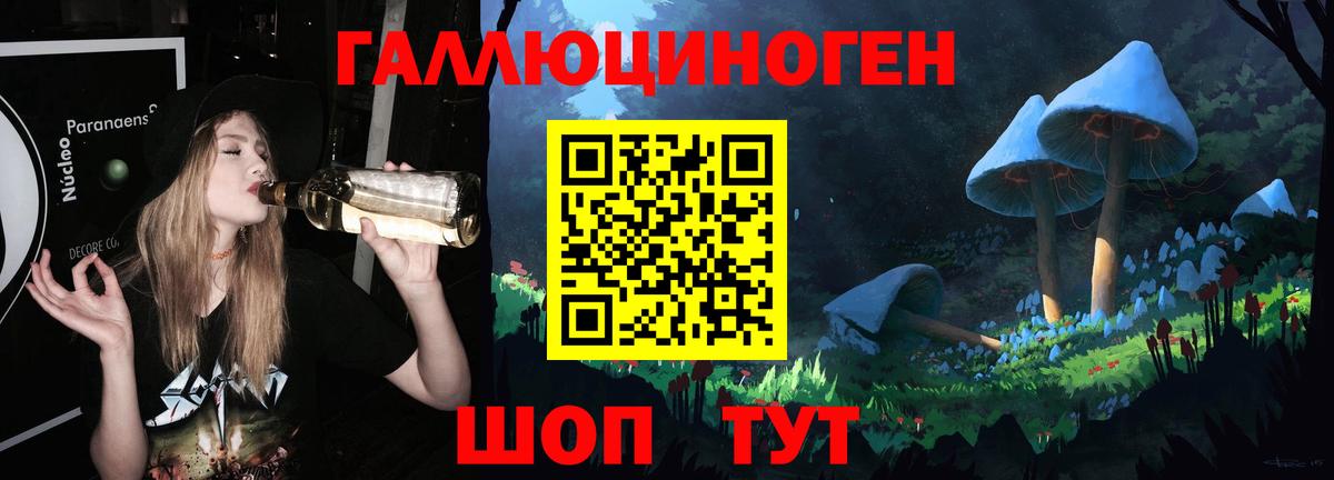 Псилоцибиновые грибы Cubensis Белово
