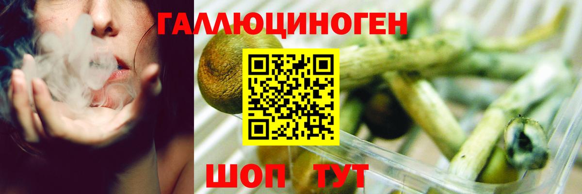 Псилоцибиновые грибы Psilocybine cubensis  Псилоцибиновые грибы мицелий  Вход с VPN  Белово 